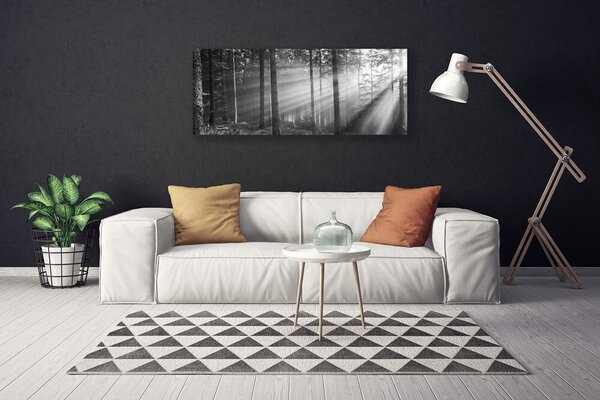 Obraz Canvas Les príroda lúče slnka 125x50 cm