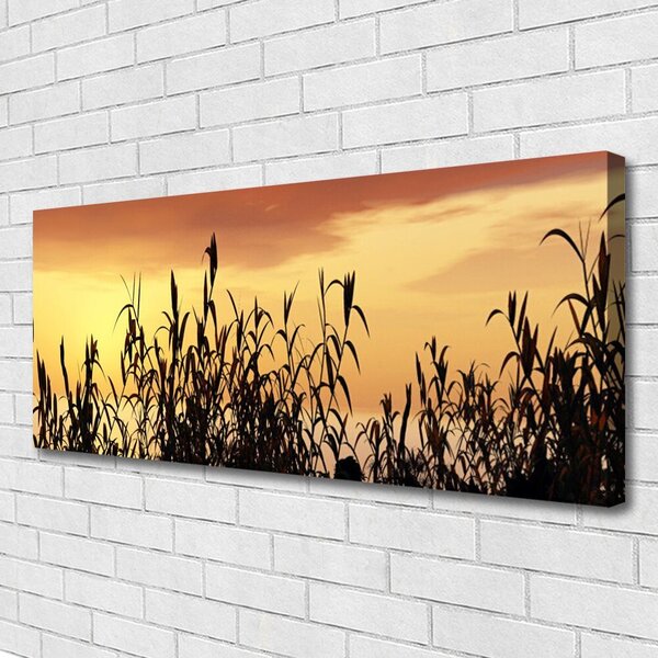 Obraz Canvas Listy západ lúka pole 125x50 cm