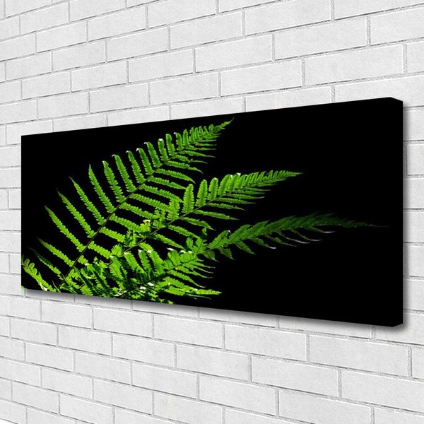Obraz Canvas Sladič papradie listy 125x50 cm