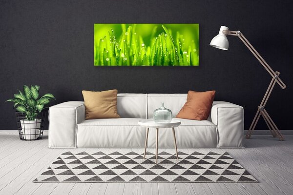 Obraz Canvas Zelená tráva kvapky rosy 125x50 cm