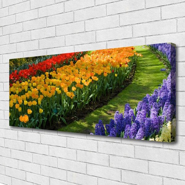 Obraz Canvas Kvety záhrada tulipány 125x50 cm