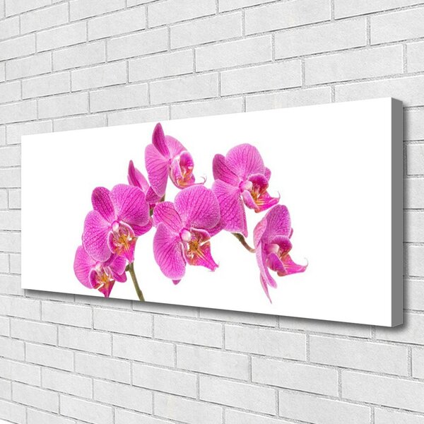 Obraz Canvas Orchidea kvety príroda 125x50 cm