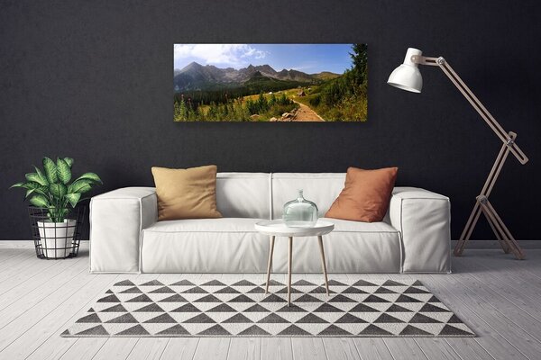 Obraz Canvas Hala góry droga natura łąka 125x50 cm