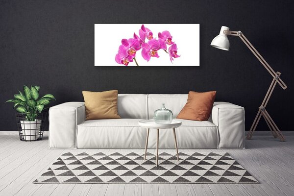 Obraz Canvas Orchidea kvety príroda 125x50 cm