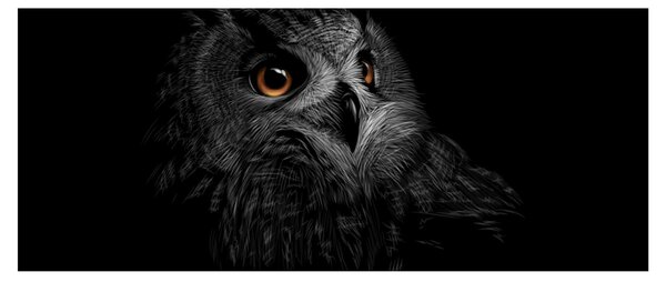 Obraz - Sova, ilustrácie (120x50 cm)