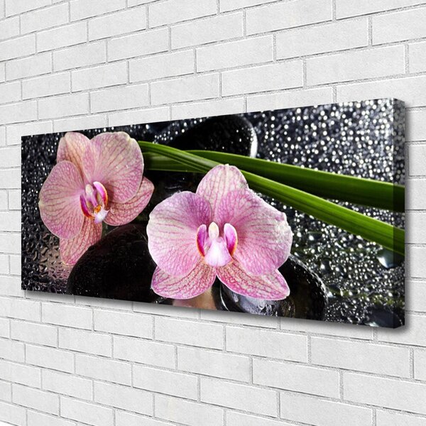Obraz Canvas Kvety orchidea kamene zen 125x50 cm