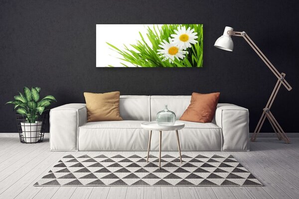 Obraz Canvas Sedmokráska kvet príroda 125x50 cm
