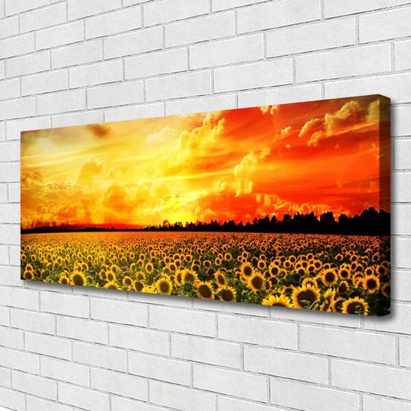Obraz Canvas Lúka slnečnica kvety 125x50 cm