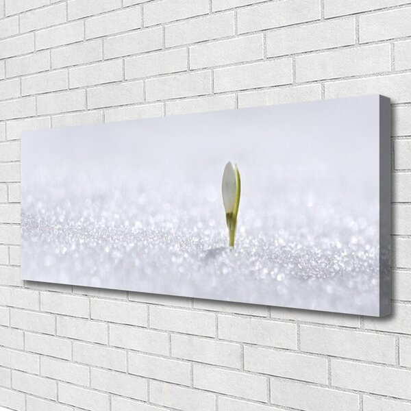 Obraz Canvas Snežienka sneh zima 125x50 cm