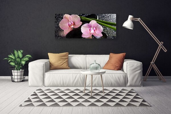 Obraz Canvas Kvety orchidea kamene zen 125x50 cm