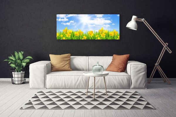 Obraz Canvas Narcisy lúka tráva príroda 125x50 cm