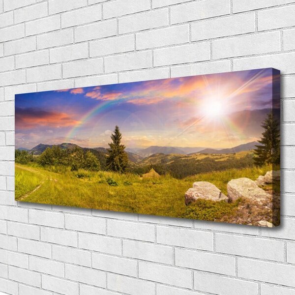 Obraz Canvas Hory lúka kamene príroda 125x50 cm