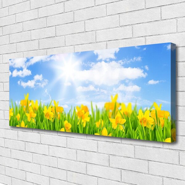 Obraz Canvas Narcisy lúka tráva príroda 125x50 cm