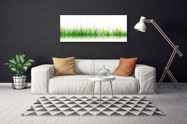 Obraz Canvas Príroda tráva kvety 125x50 cm
