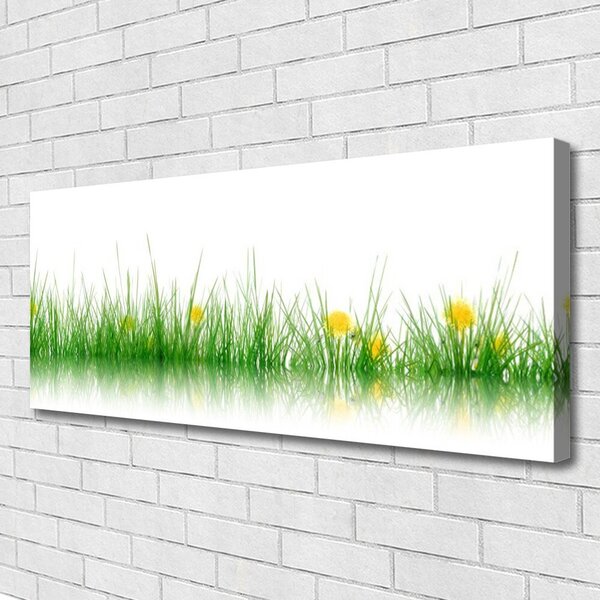 Obraz Canvas Príroda tráva kvety 125x50 cm