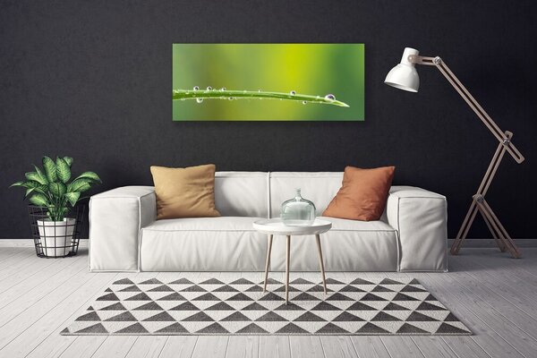 Obraz Canvas Kvapka rosy na tráve 125x50 cm
