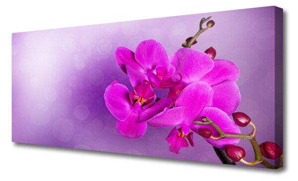 Obraz Canvas Kvety plátky orchidea 125x50 cm