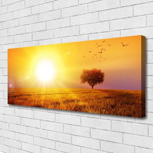 Obraz Canvas Západ slnka lúka plátky 125x50 cm