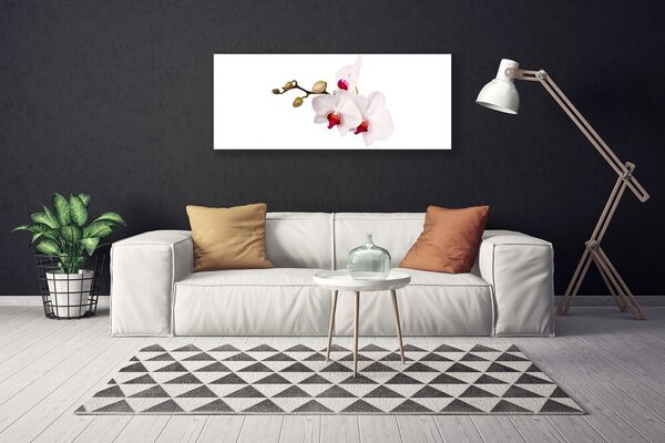 Obraz Canvas Kvety príroda orchidea 125x50 cm