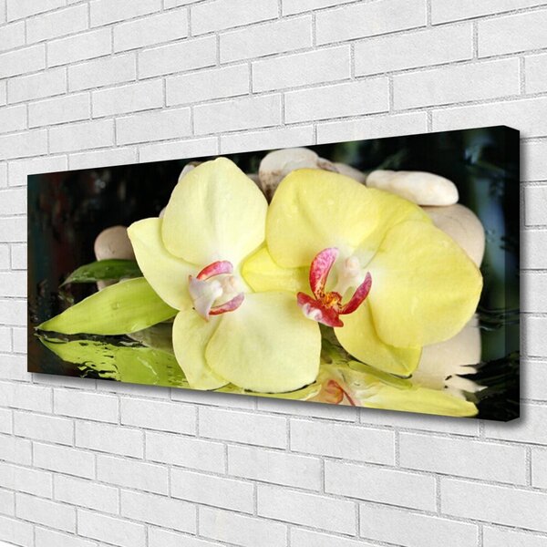 Obraz Canvas Okvetné plátky orchidea 125x50 cm