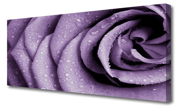 Obraz Canvas Ruže kvet rastlina 125x50 cm