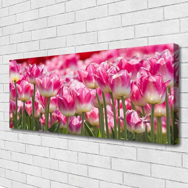 Obraz Canvas Tulipány kvety príroda 125x50 cm