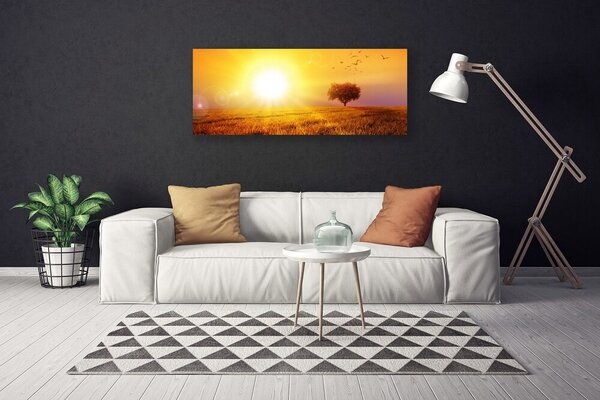 Obraz Canvas Západ slnka lúka plátky 125x50 cm