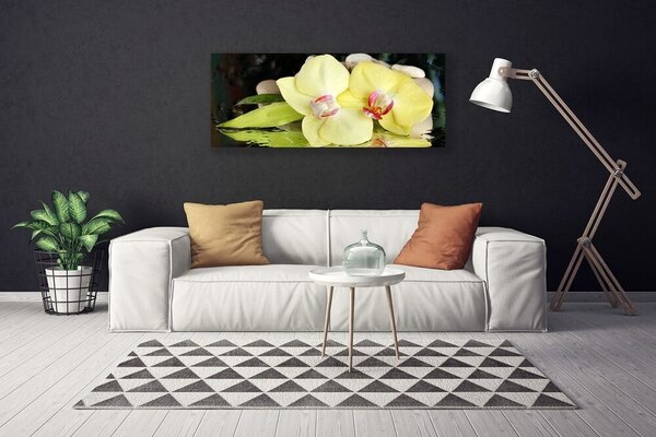 Obraz Canvas Okvetné plátky orchidea 125x50 cm