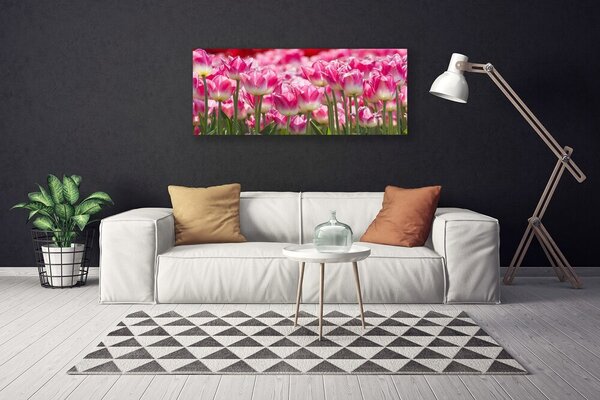 Obraz Canvas Tulipány kvety príroda 125x50 cm