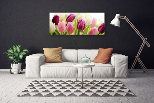Obraz Canvas Tulipány kvety príroda lúka 125x50 cm