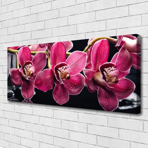 Obraz Canvas Kvety orchidey výhonky príroda 125x50 cm