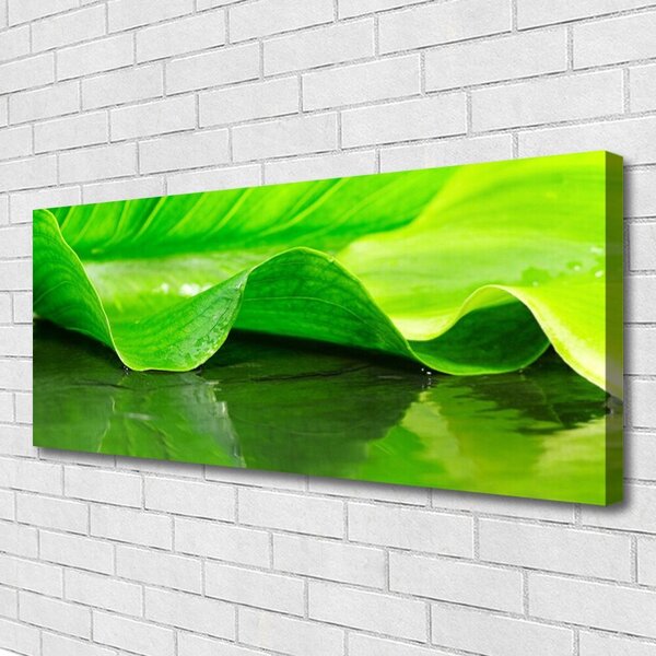 Obraz Canvas List roslina příroda 125x50 cm