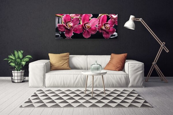 Obraz Canvas Kvety orchidey výhonky príroda 125x50 cm
