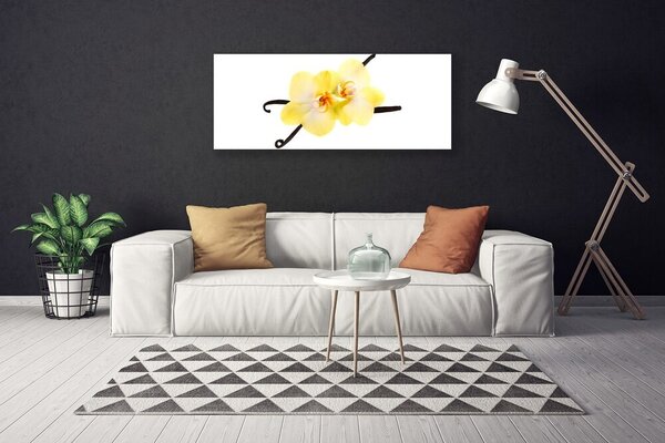 Obraz Canvas Kvety rastlina príroda 125x50 cm
