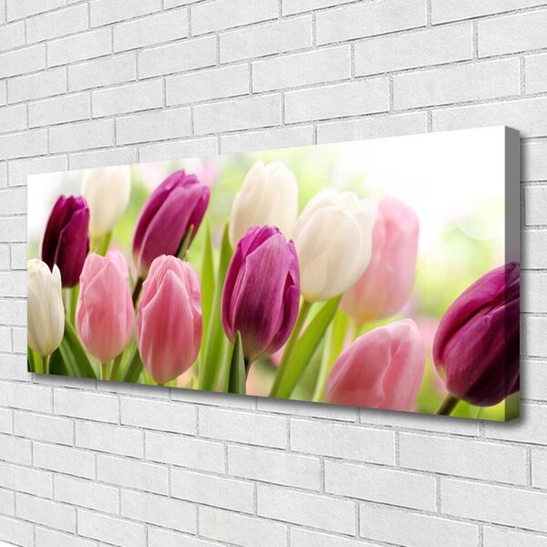 Obraz Canvas Tulipány kvety príroda lúka 125x50 cm