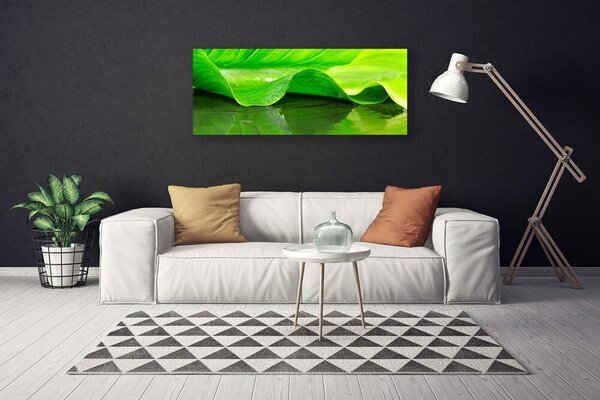 Obraz Canvas List roslina příroda 125x50 cm