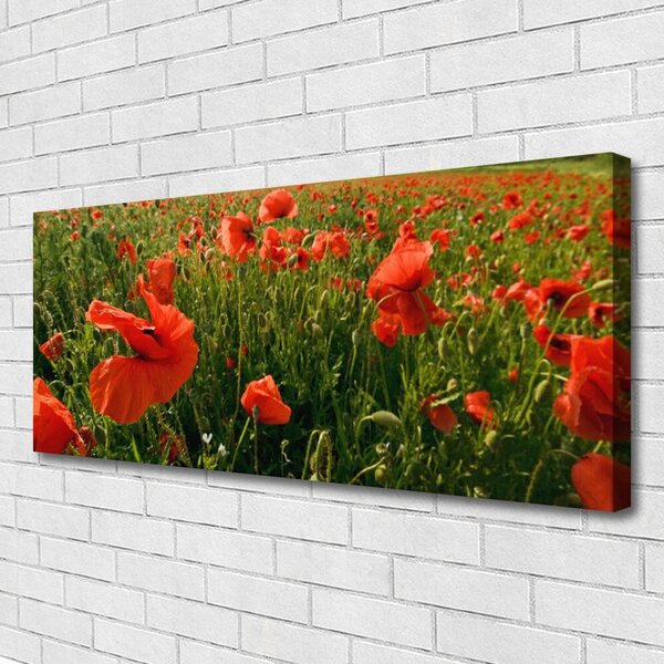 Obraz Canvas Maky rastlina príroda 125x50 cm