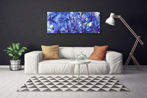 Obraz Canvas Kvety rastlina príroda 125x50 cm