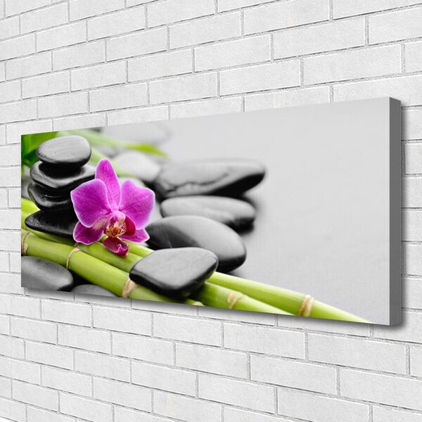 Obraz Canvas Bambus kvet kamene umenie 125x50 cm