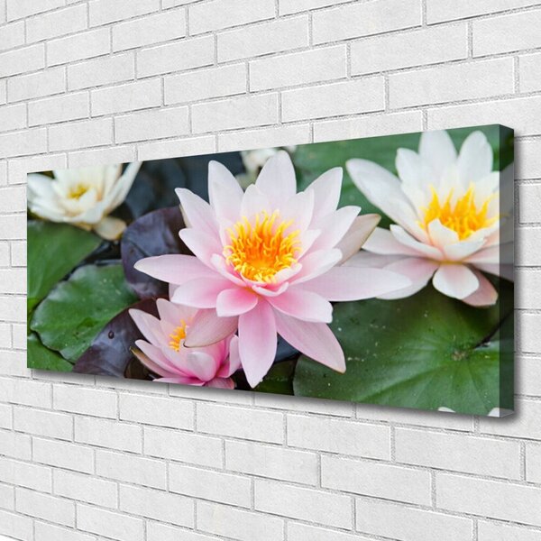 Obraz Canvas Kvety rastlina príroda 125x50 cm