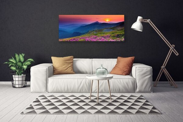 Obraz Canvas Hory lúka kvety príroda 125x50 cm