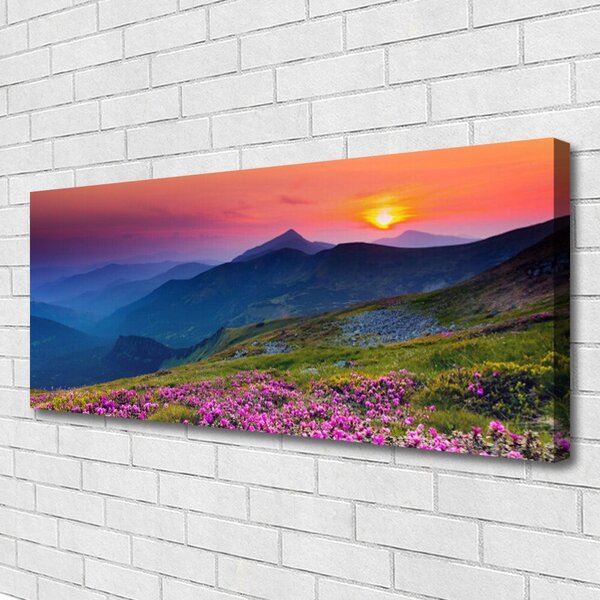 Obraz Canvas Hory lúka kvety príroda 125x50 cm