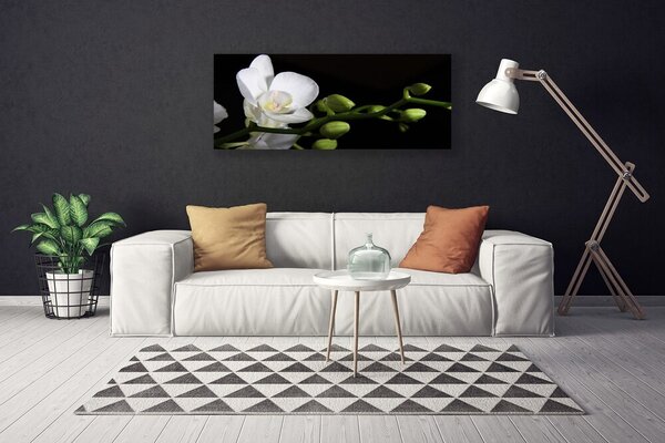 Obraz Canvas Kvet rastlina príroda 125x50 cm
