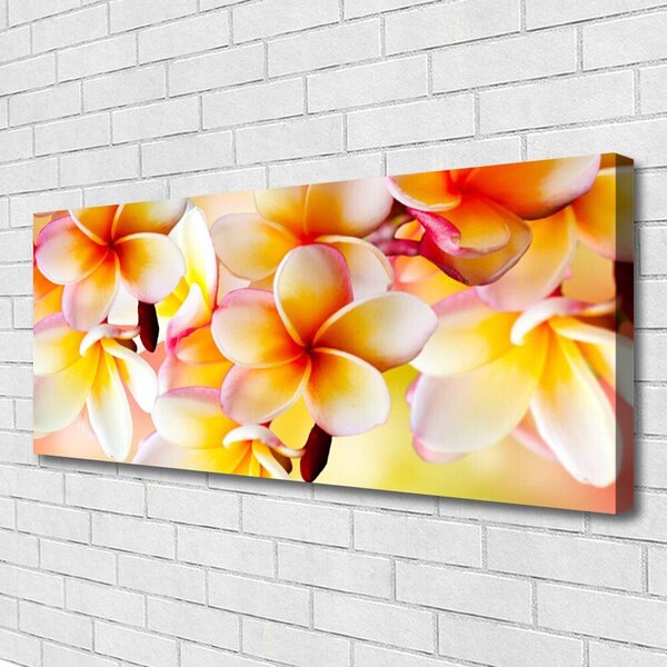 Obraz Canvas Kvety rastlina príroda 125x50 cm