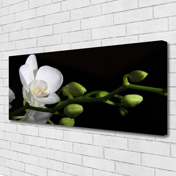 Obraz Canvas Kvet rastlina príroda 125x50 cm