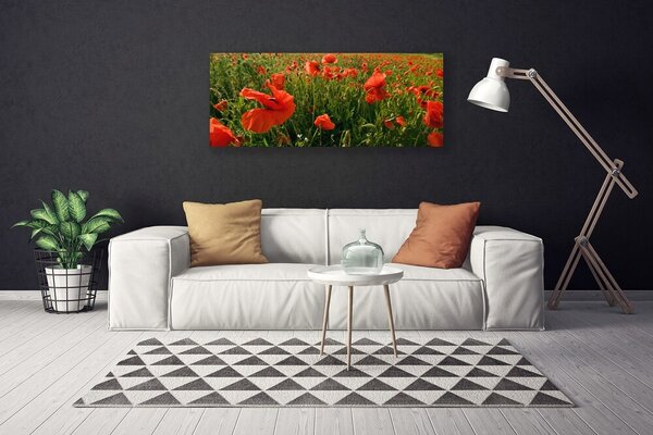Obraz Canvas Maky rastlina príroda 125x50 cm