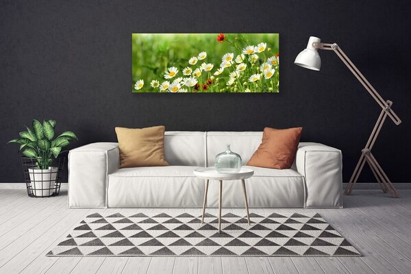 Obraz Canvas Sedmokráska rastlina príroda 125x50 cm