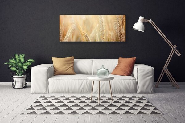 Obraz Canvas Pšenica rastlina príroda 125x50 cm