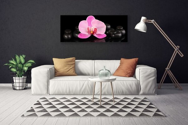 Obraz Canvas Kvet kamene rastlina 125x50 cm