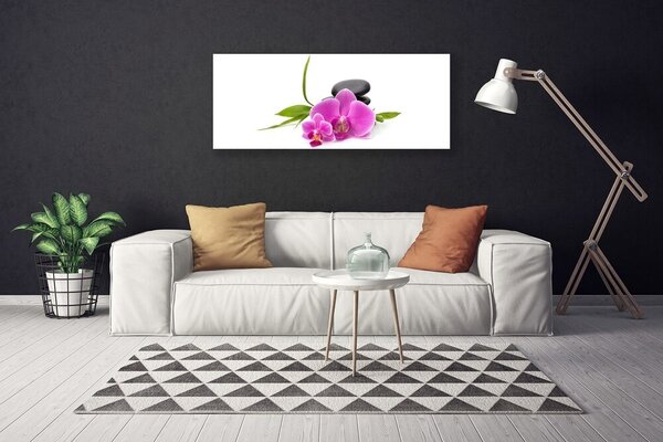 Obraz Canvas Kvet kamene rastlina 125x50 cm